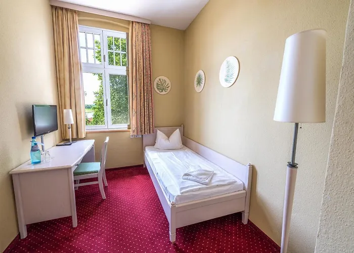 Elbterrasse Woerlitz *